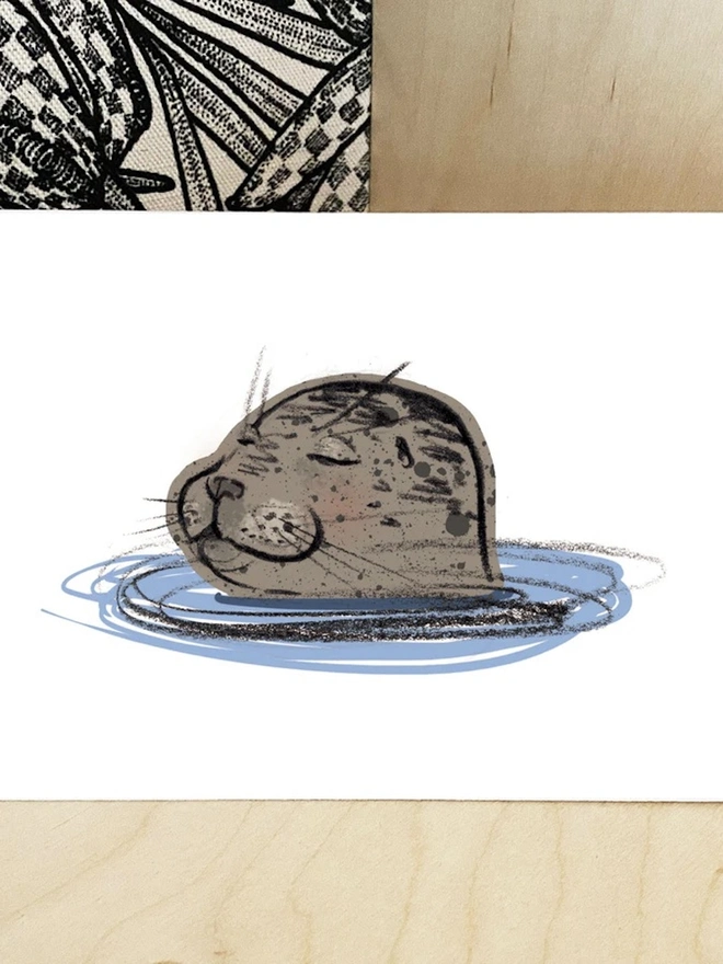 Seal Postcards (Set Of Four) 