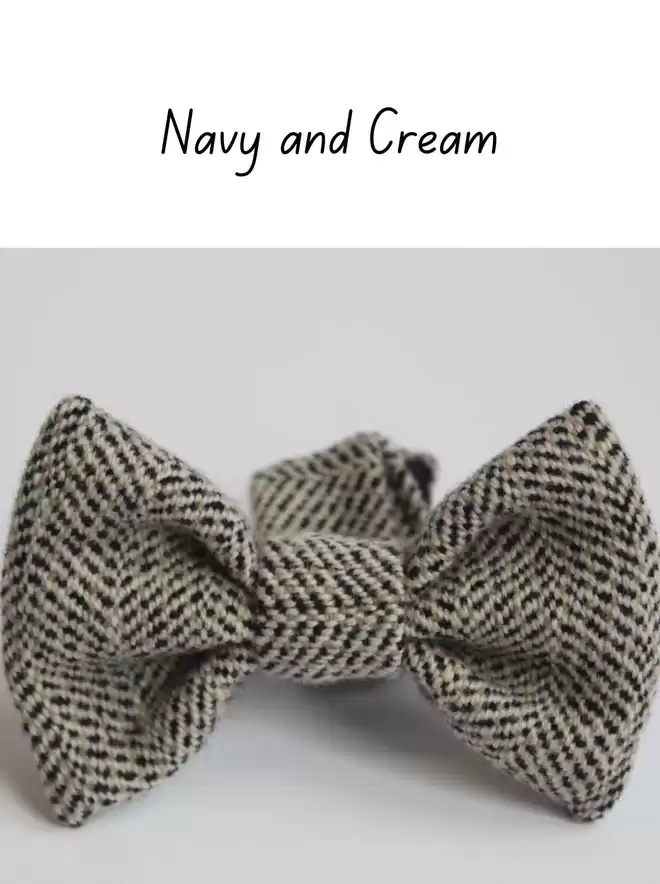 Navy and Cream Bow Tie