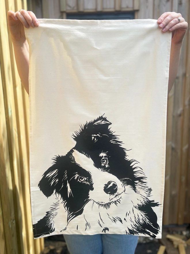 Full image of border collie dog tea towel with the collies head printed in the bottom half