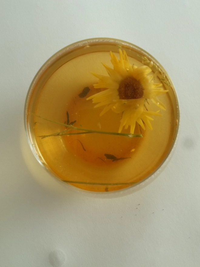 Fleurs-d-hiver-Calendula-Sweet-Clover-Ginger-infusion