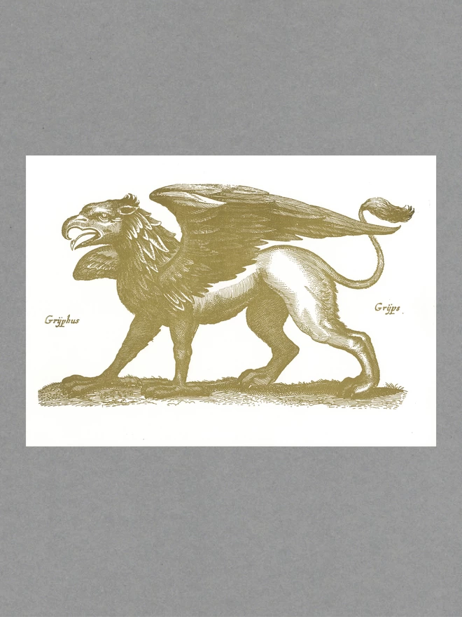 Poster of a gold griffin with text reading 'Gryphus Gryps' on white paper