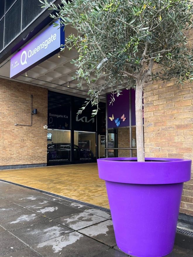 With its rich purple finish, The Biggie offers a dramatic and artistic presence enhanced by its impressive scale. Perfect for statement entrances, creative landscapes or hospitality spaces, it supports large shrubs and layered planting beautifully. Constructed from durable, lightweight material, it’s frost-resistant and built to last outdoors.

