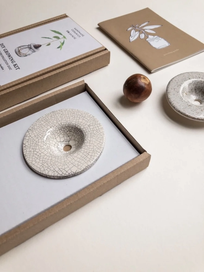 DIY Growing Kit, the discs sitting in their packaging on a plain surface. It is joined by an avocado pip. 