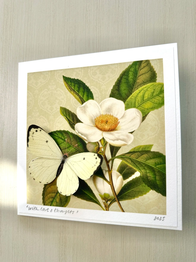 Photo of the butterflygram card featuring a white magnolia flower on a cream background with a 3D white butterfly in the left foreground. The card has a hand written personalised message in the left corner and is hand signed on the right.