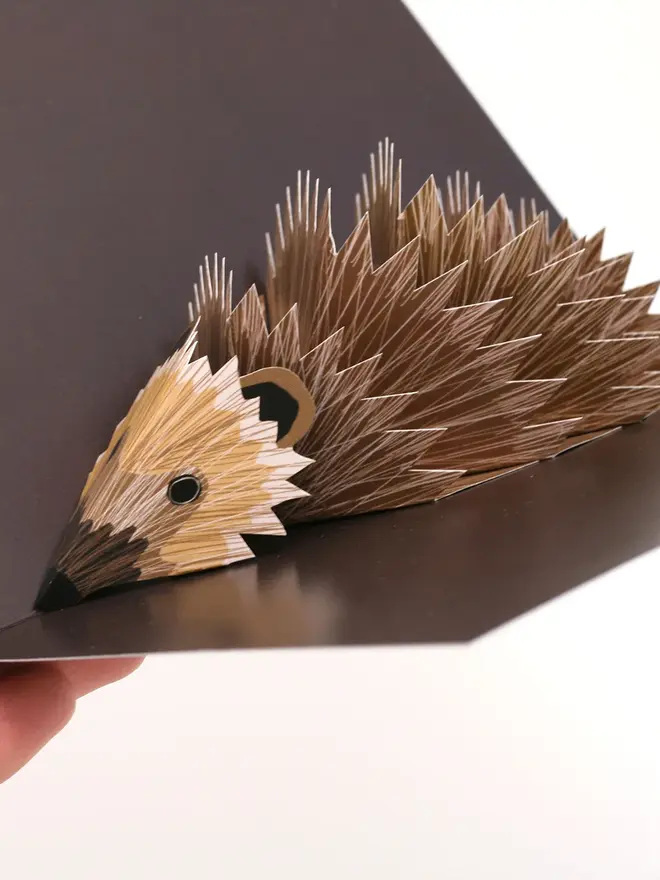 3d hedgehog pop up card