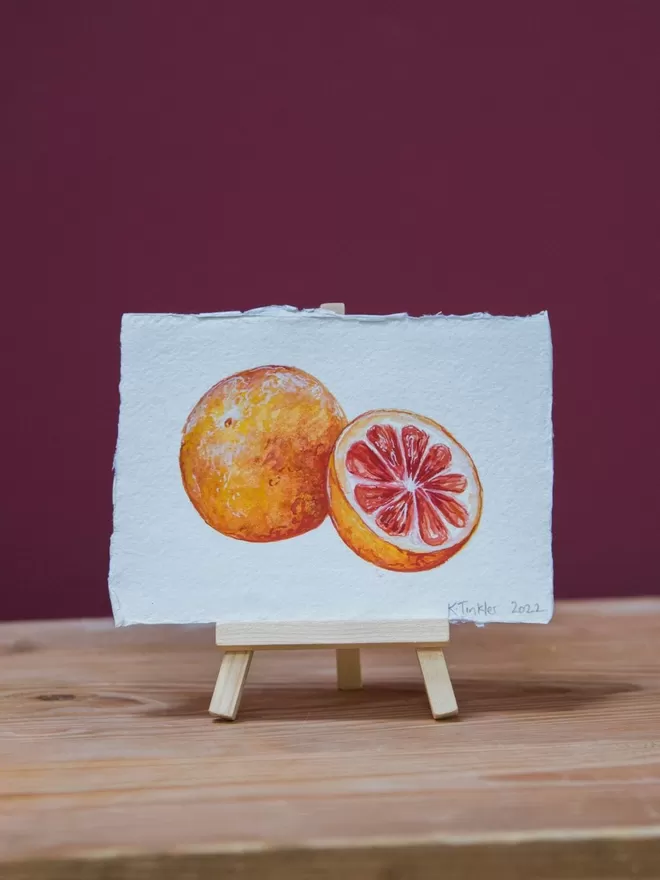 Katie Tinkler Grapefruit illustration.