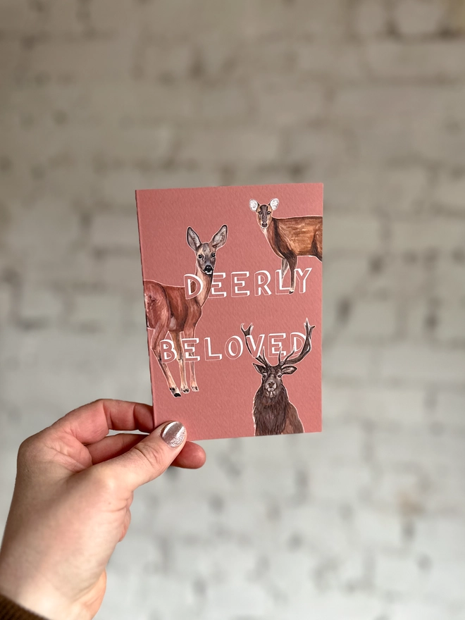 a peachy pink greetings card featuring three illustrations of different deer breeds with the text “deerly beloved”
