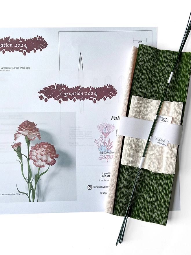 Crepe Paper Carnation DIY Kit
