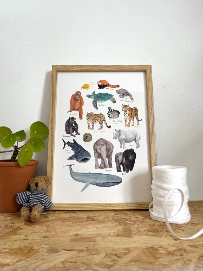 a print with a white background featuring a selection of colourful, endangered animals arranged in an oval shape, in a frame next to a plant, a tiny teddy and some paper ribbon