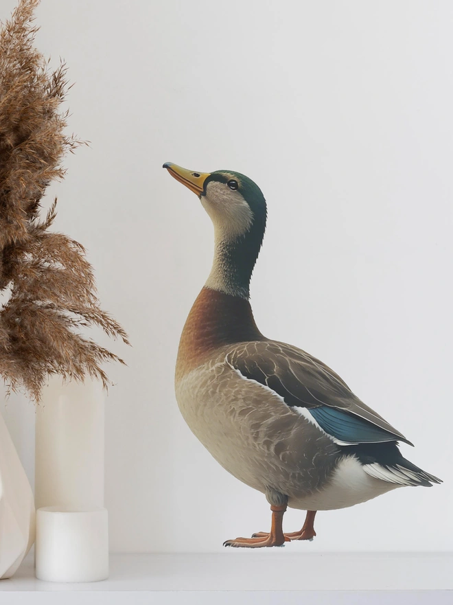 duck wall decal