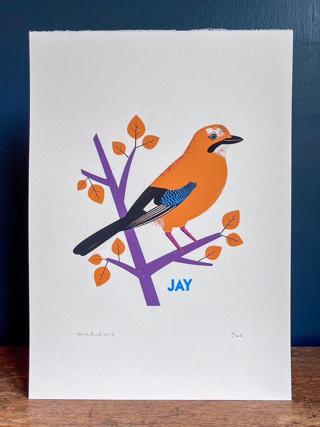 A screenprint of a Jay bird on white paper against a navy blue background.