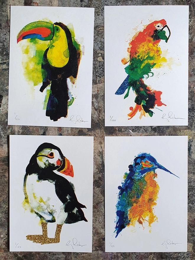 Part of a collection of beautiful birds