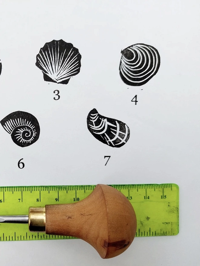 Sea Shell Ink Stamps