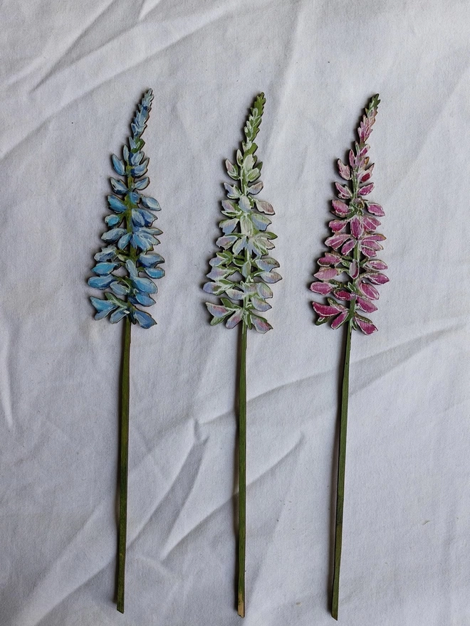 Wooden Lupin Stems, displayed on a white background
