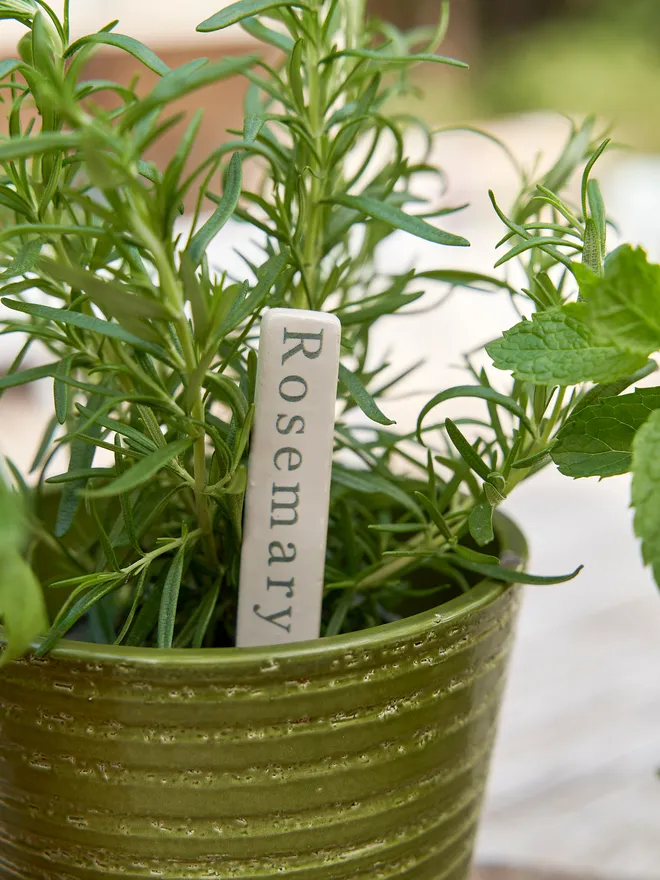 Ceramic plant herb marker
