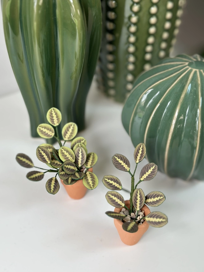 2 miniature replica Maranta Prayer Plant paper plant ornaments in terracotta pots on a white shelf with some green cactus ornaments in the background