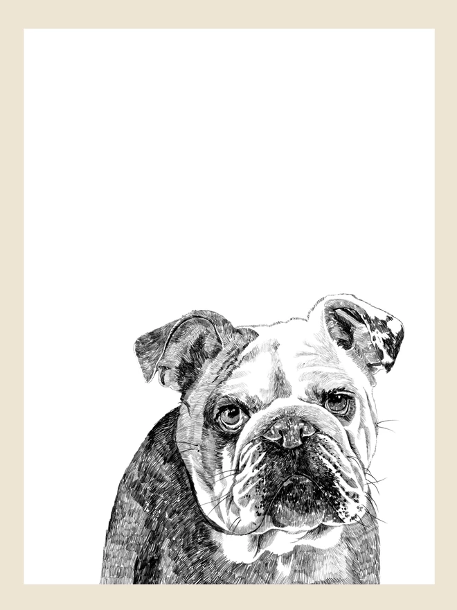 Artwork of bulldog art print