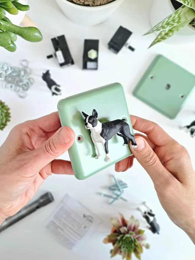 A pair of hands hold a Beryl Green LED light switch with a Boston Terrier dog in the centre, the dog acts as the dimmer switch knob. The light switch plate is made of epoxy coated steel, the dog is made of plastic. The dimmer switch brand is Candy Queen Designs. In front of the light switch on a white tabletop there is a box spanner, a selection of nuts, light switch modules, screws, another dog and an instruction leaflet. There are three succulent plants in white plant pots and two tiny succulent plants in terracotta pots.
