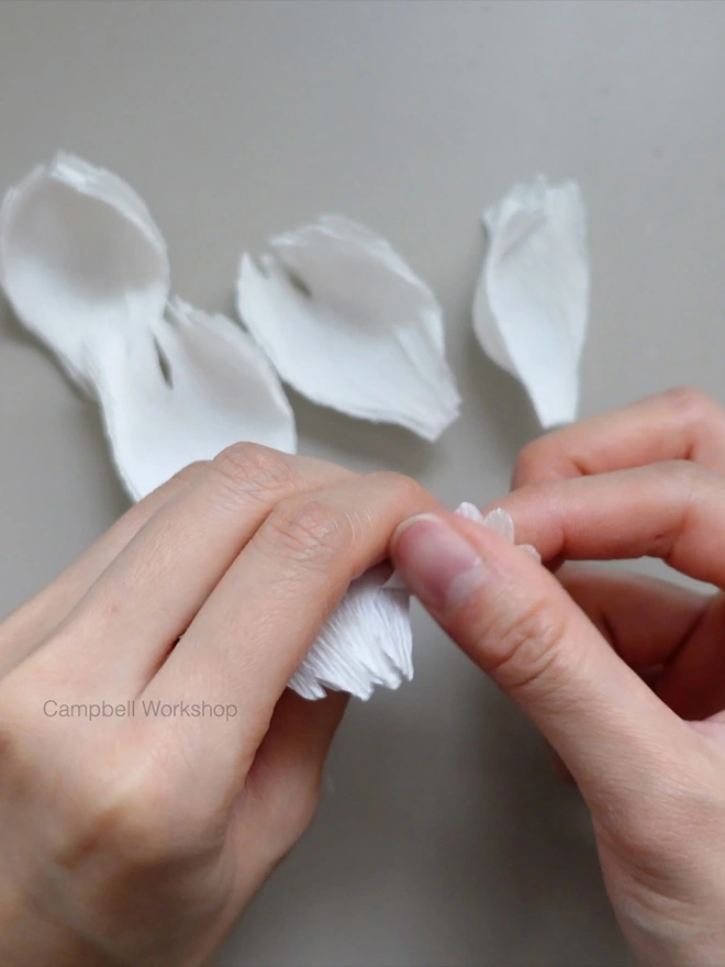 Crepe Paper Double Peony DIY Kit