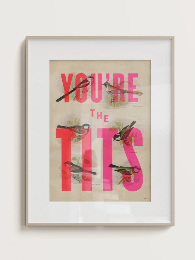 You Are the Tits screenprint
