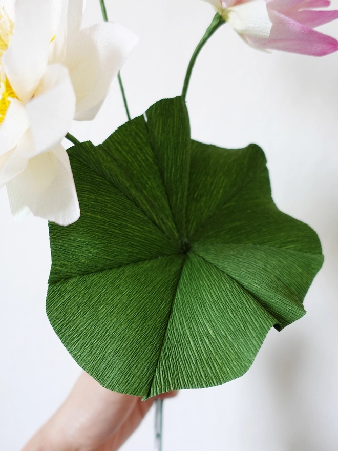 Crepe Paper White Sacred Lotus DIY Kit