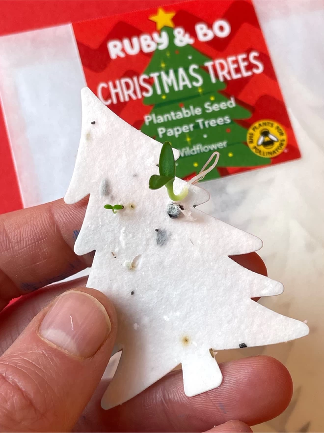 Christmas Trees! Plantable Paper Trees