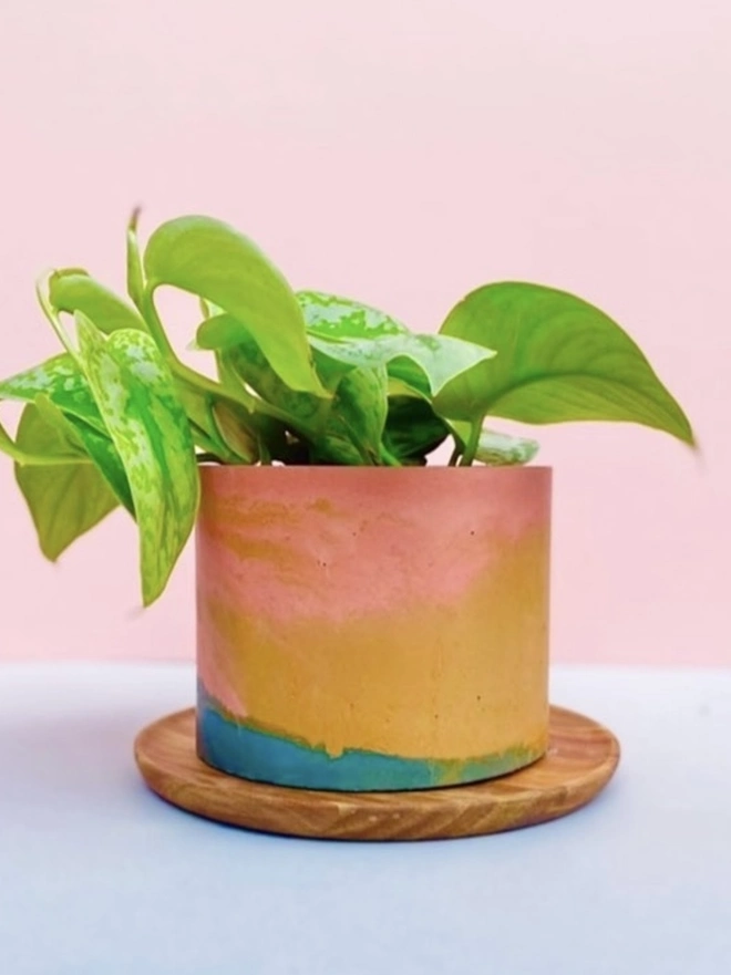 Colourful Concrete Pot