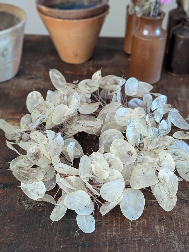 mini wreath from lunaria