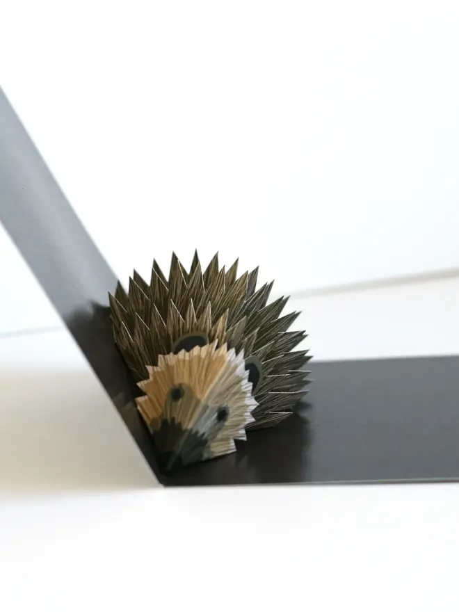 3d hedgehog pop up card