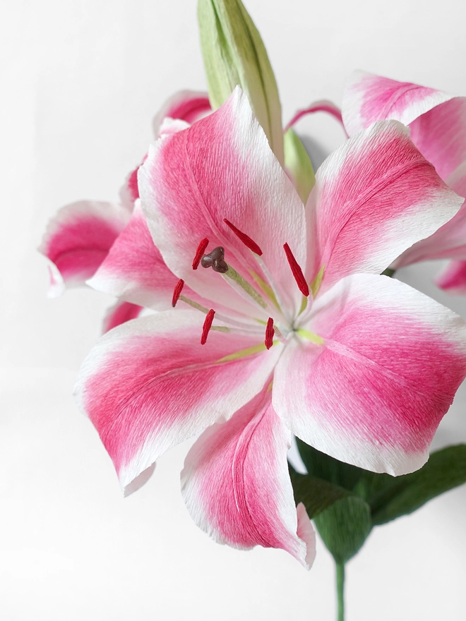 Crepe Paper Easter Lily DIY Kit