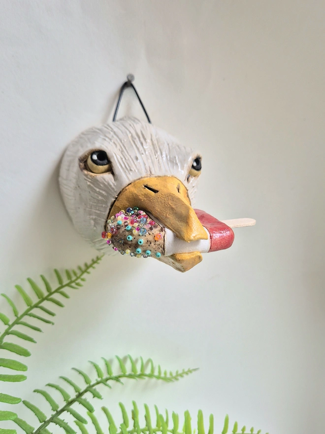 Seagull will fab lolly