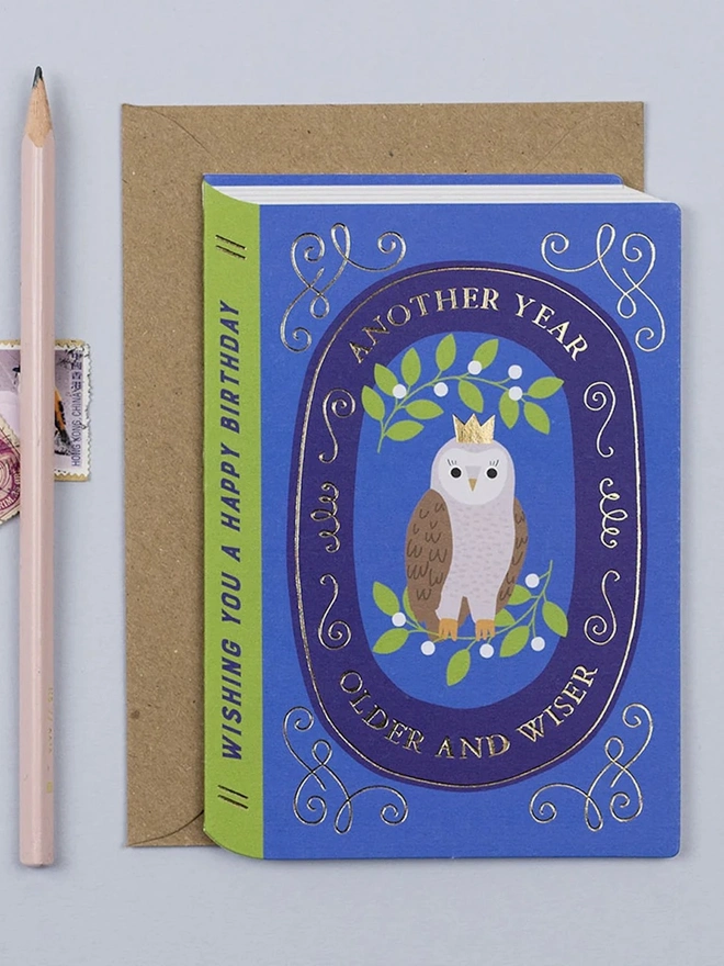 'Another Year Older And Wiser' Fairytale Owl Birthday Card