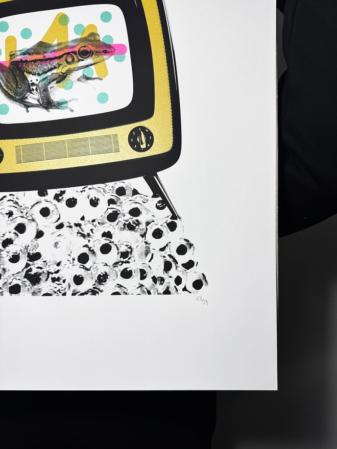 Froggy Vision_Large Screen Printed Poster_Holly and Co_Hand numbered limited edition
