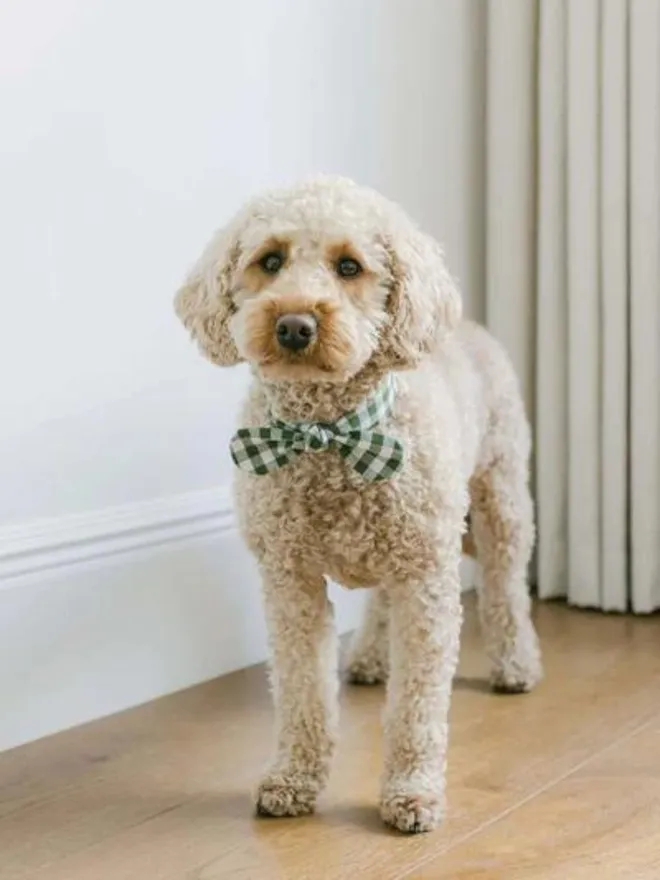 Handmade Gingham Dog Necktie