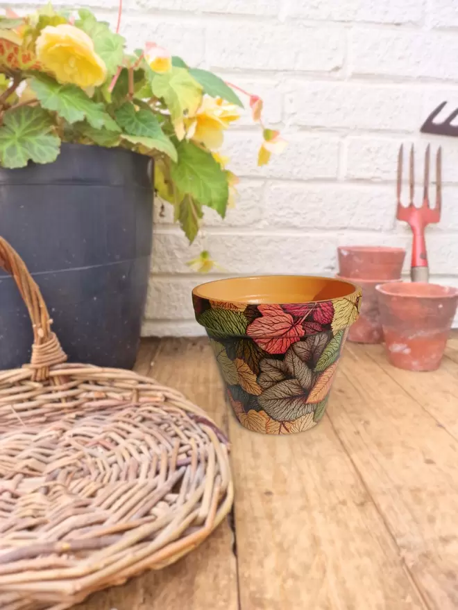 Autumn Design Plant Pot seen on a wooden chest.