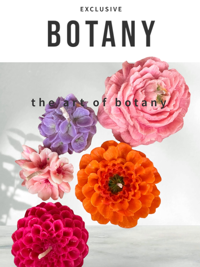 BOTANY COLLECTION