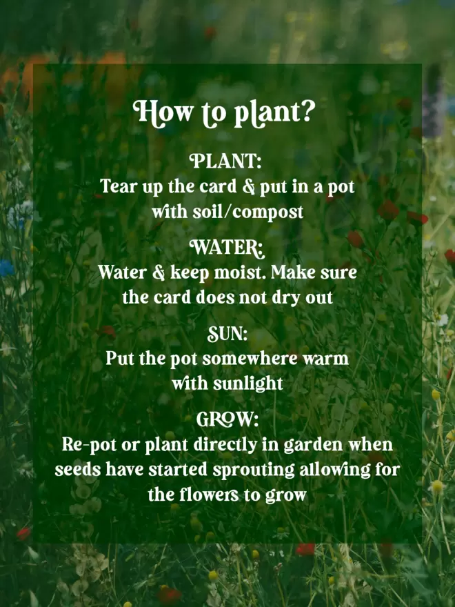‘How to Grow’ Planting Instructions for our greeting cards placed on a green tinted wildflower image background