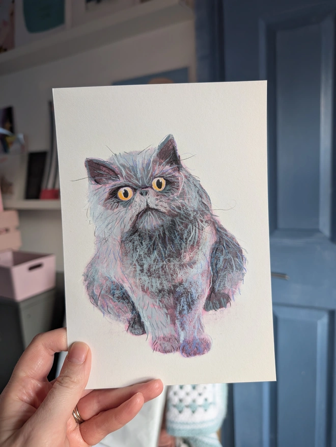 custom illustrated portrait. drawn portrait of a grey persian cat on a white background