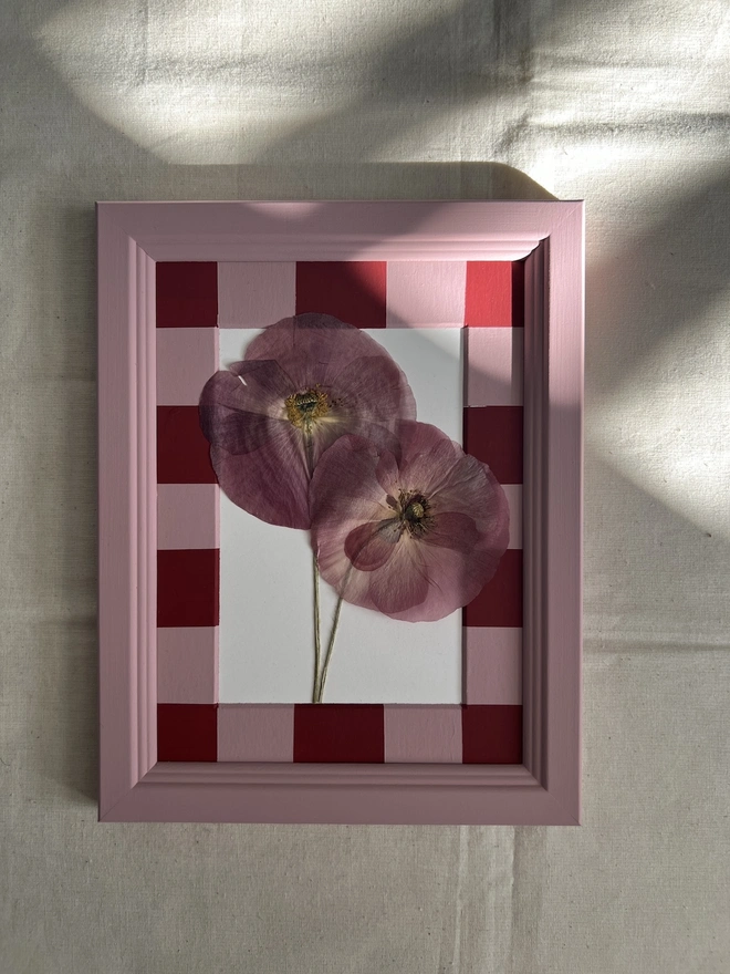 pressed poppy flowers in hand painted pink frame