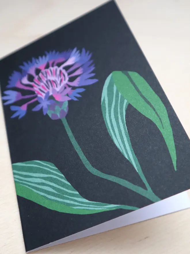 illustrated cornflower mini cards