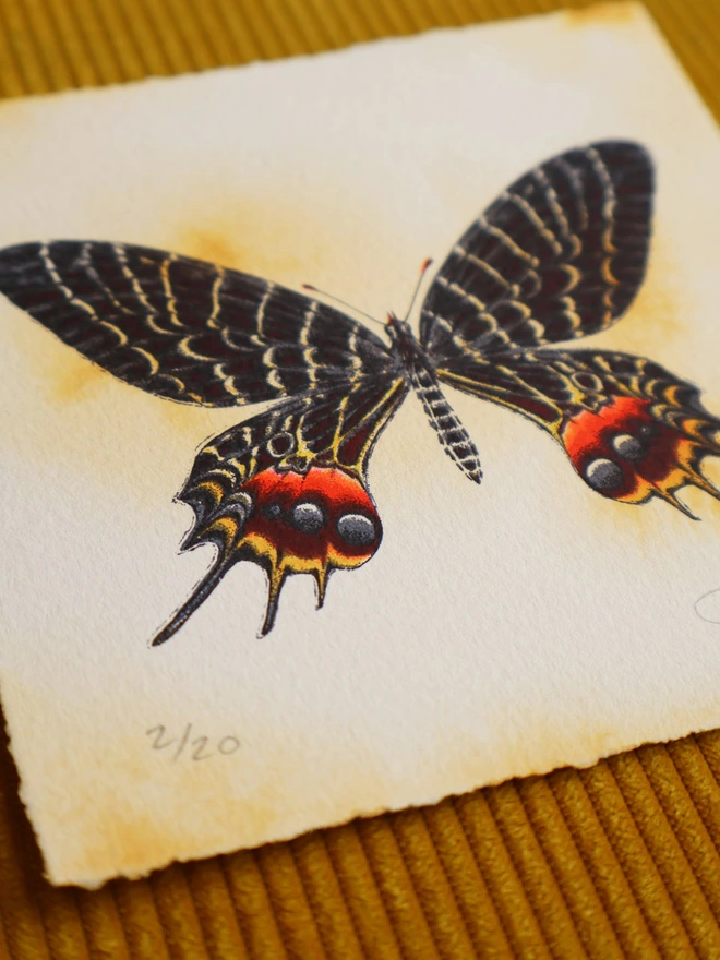 Limited Edition Screenprint artwork of a Bhutan Glory Butterfly by artists and designer Kath Leone