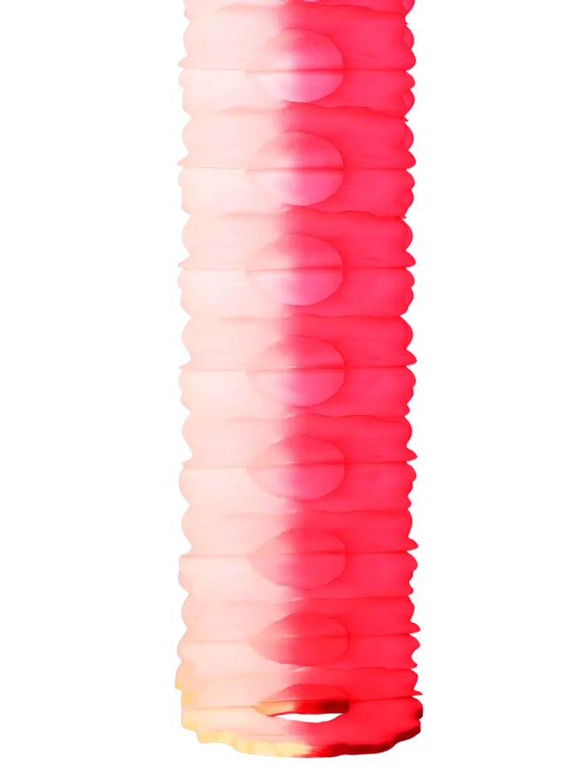 Two-Tone Garland 4m, Natural & Crimson