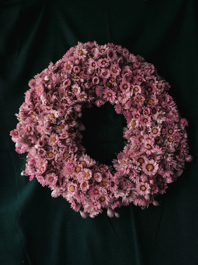 Deborah-Maire Moon Pink Daisy Wreath Dried on a Dark Green Fabric Wall