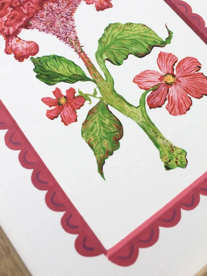 Celosia Cristata Print