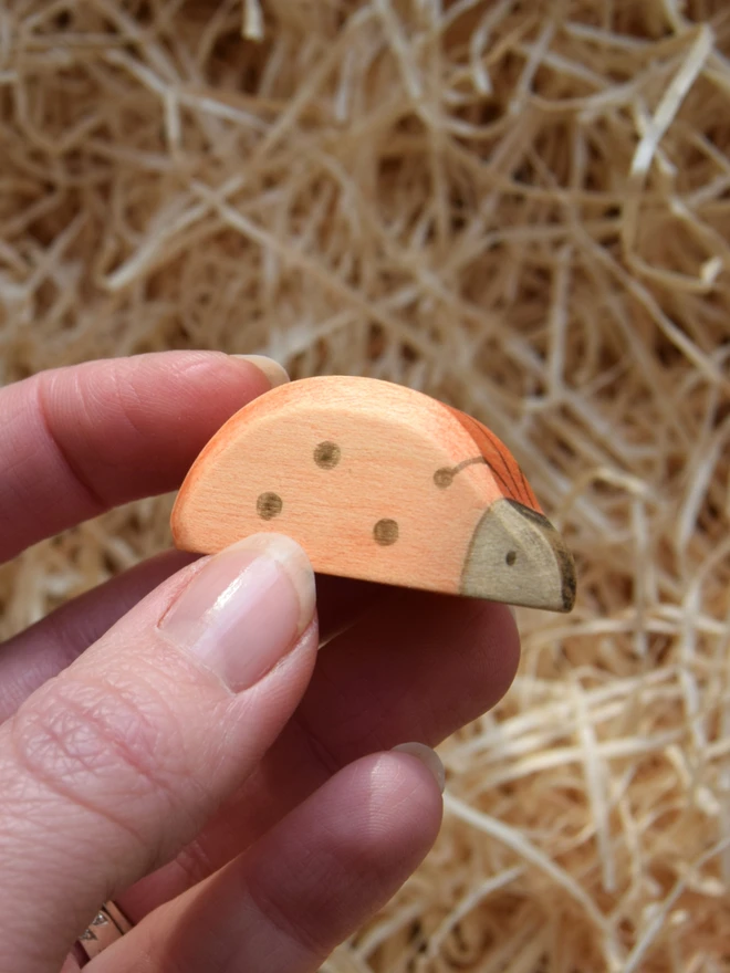 wooden toy ladybird being held in hand above woodwool