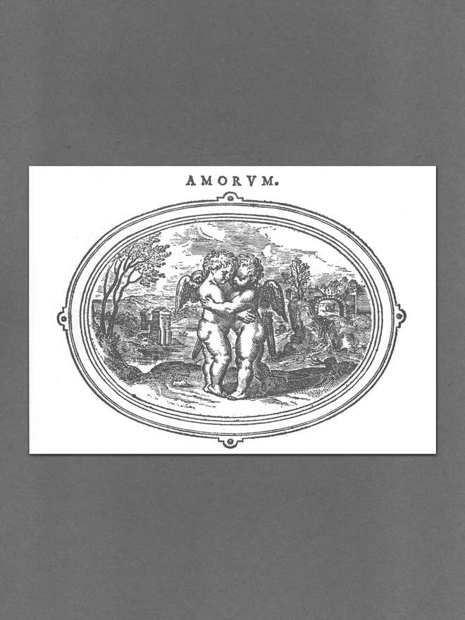 monochrome black illustration of mythological cherubs embracing framed by an ovoid border resembling a wall mirror. Printed above in vintage block font is the word Amorum, styled AMORVM. 