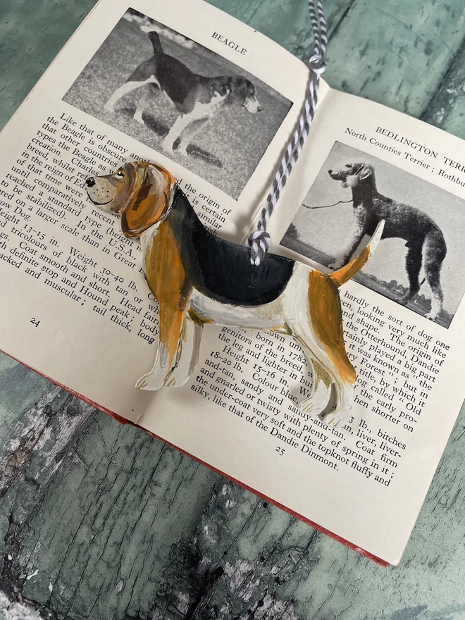 Beagle Dog Memory Decoration Placed in a book about dogs
