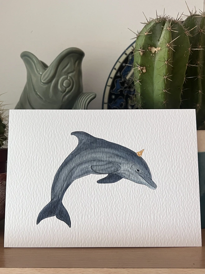 dolphin card