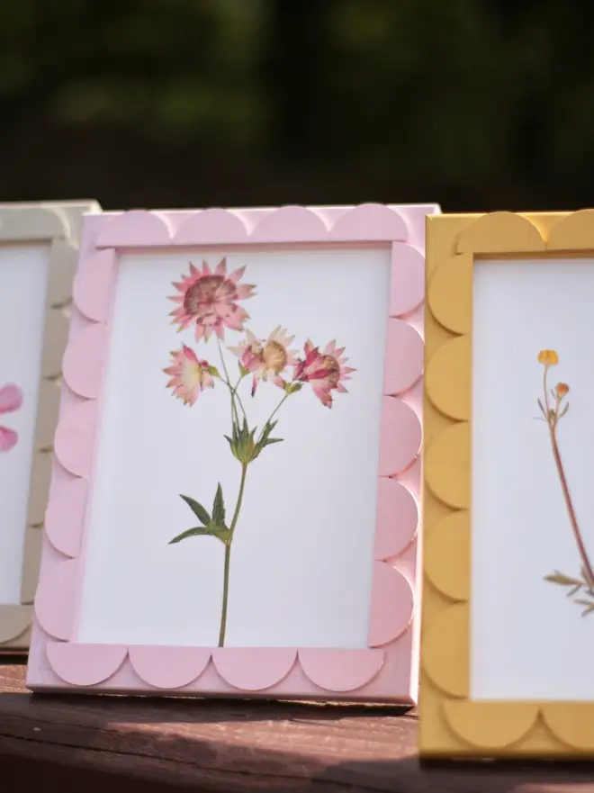 scallop stained frames with pressed flowers