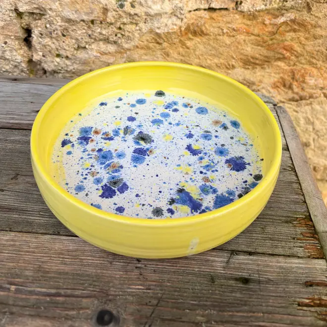 Shoreline Pasta Bowl, a colourful bowl placed on a wooden surface against a brick backdrop. 